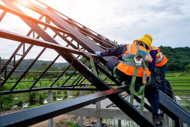 Best Roof Gutter Cleaning  in De Leon, TX