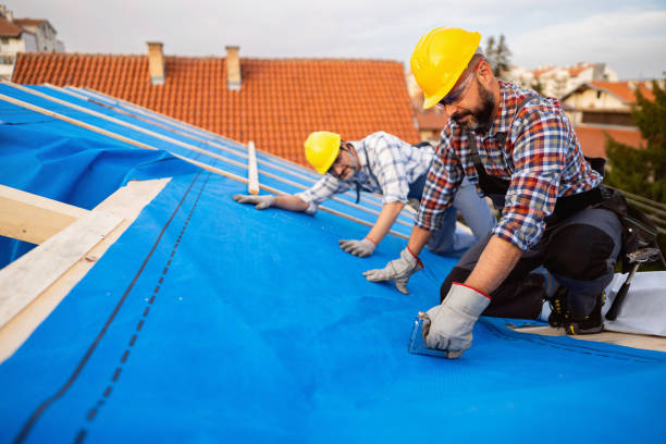 Best Sealant for Roof  in De Leon, TX