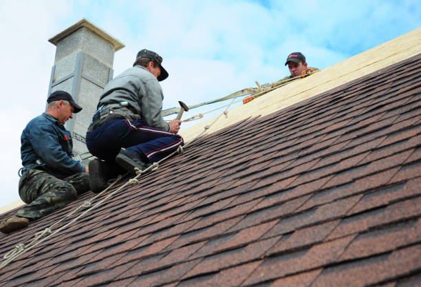 Best Local Roofing Companies  in De Leon, TX